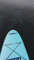 608x1080