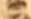 31x19