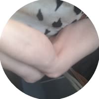 384x384
