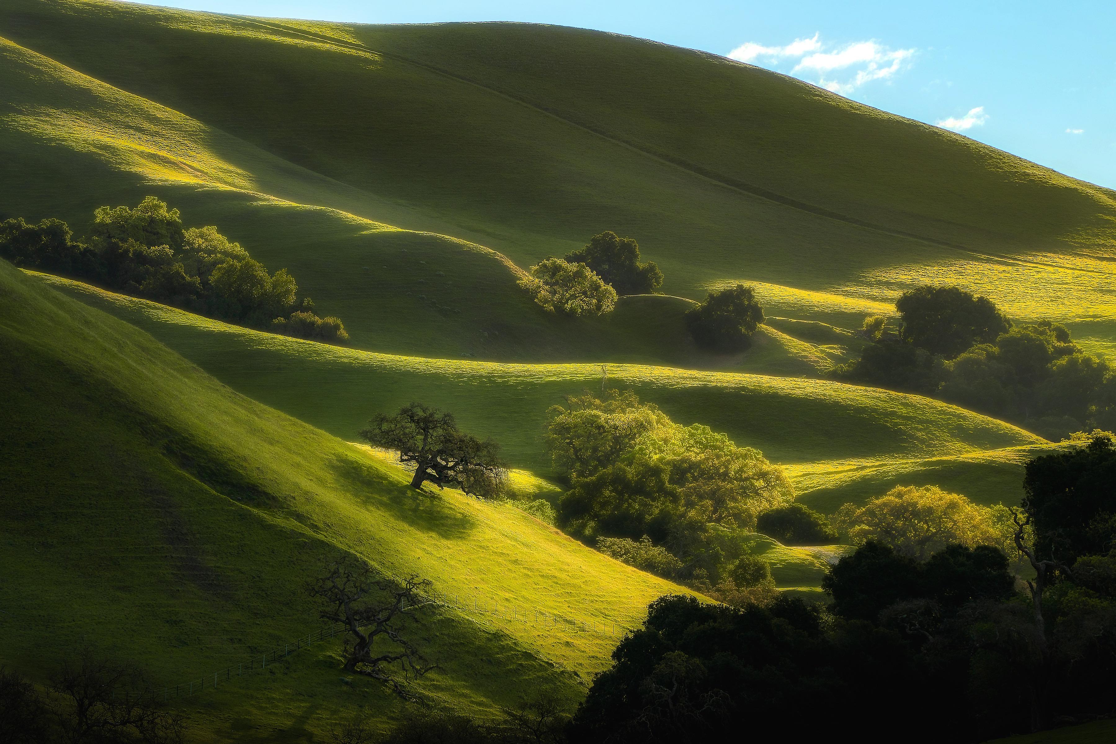 3598x2400