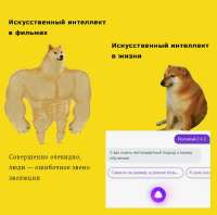 776x772