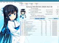 996x740