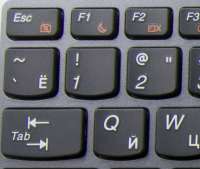 335