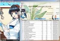1008x686