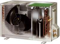 980x724