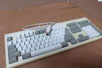 1277x860