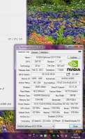 490x800