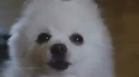 400x224