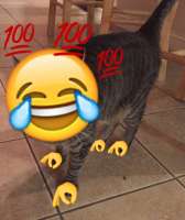 1080x1283