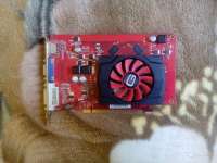 800x600