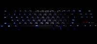 1600x737
