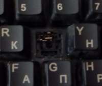 1535x1303