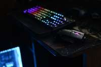 2000x1333