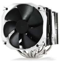 800x800