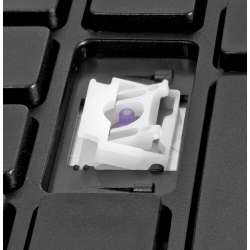 500x500