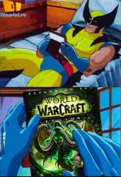480x700