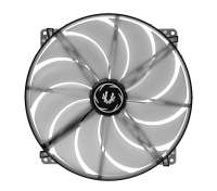 800x704