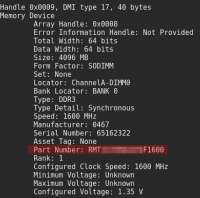 428x425