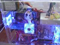 650x488
