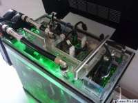 650x488