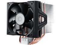 590x442
