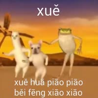 360x360