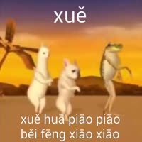 360x360