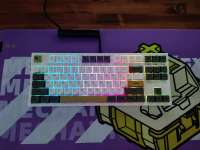 1173x880