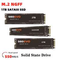 800x800
