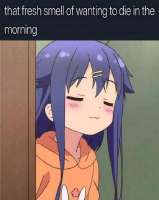 539x676
