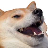 320x320