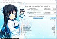 1006x692
