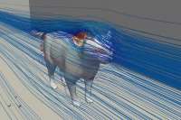 600x400