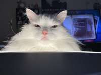 2048x1536