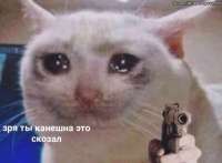 500x369
