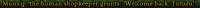 496x22