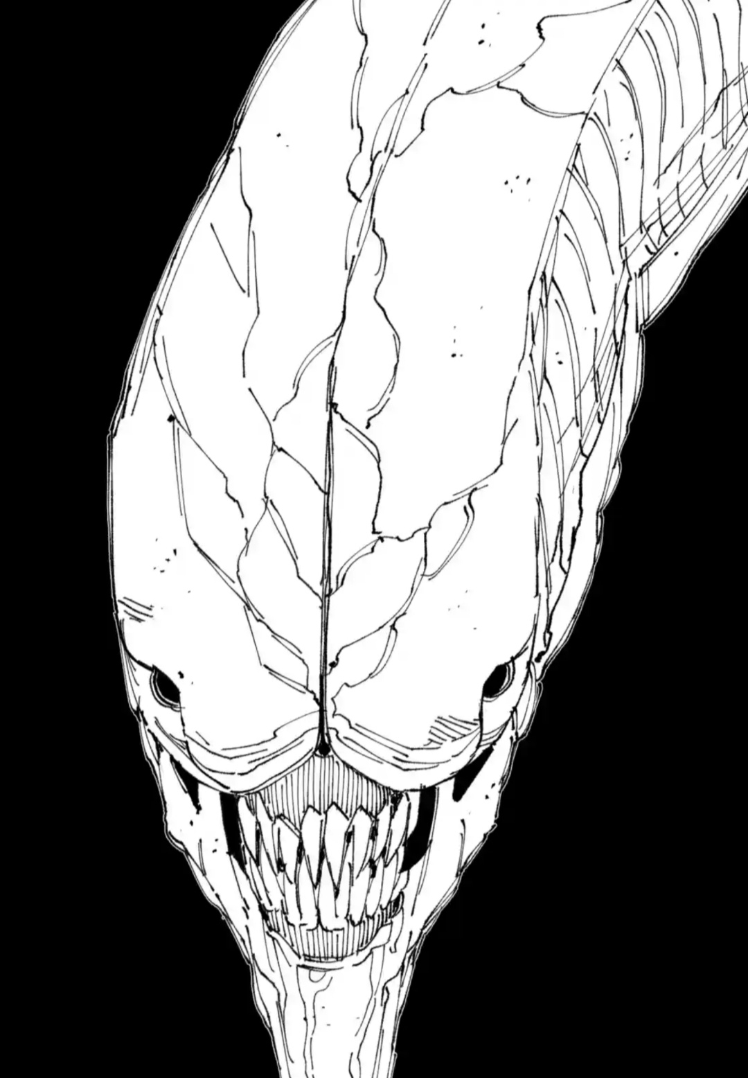 1080x1556