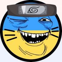 480x480