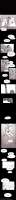 650x8000