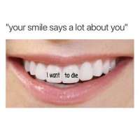 750x738
