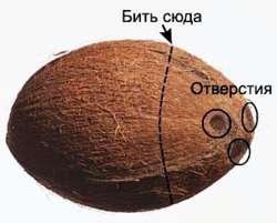 500x402