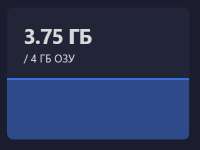 393x296