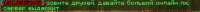966x61