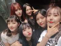 960x721