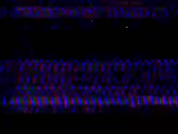 480x360