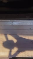 520x926