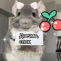 1080x1081