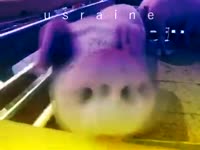 480x360