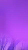 576x1024
