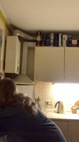 576x1024